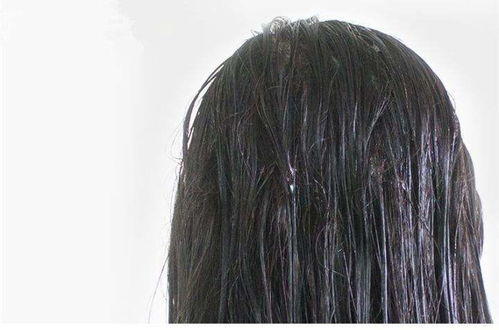 三、 “气”与“色”交互作用的时间维度分析