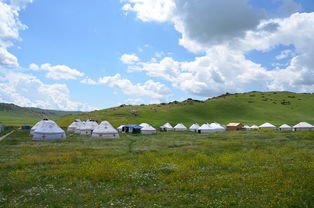 7. 阿勒泰市博物馆：增长知识 开阔视野