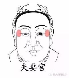 颧骨饱满与夫妻关系的稳固性