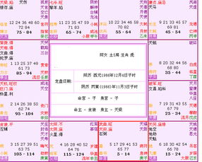 （二） 人生阶段与大限运势的动态关联