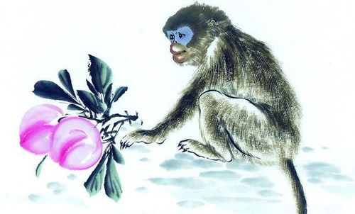 2026年属猴的人七月爱情运势如何？生肖猴在2026年的婚恋运怎样？