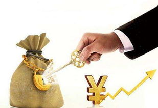 稳重与效率的施行：生肖牛与鸡的务实精神