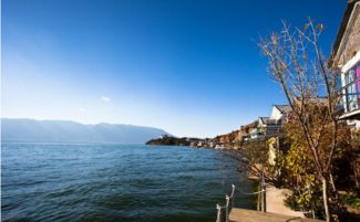 五、购物环节：不买不是中国人——强制消费套餐来袭！