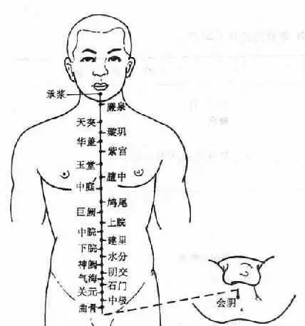 二、  四肢末端：手腕与膝肘的运势密码
