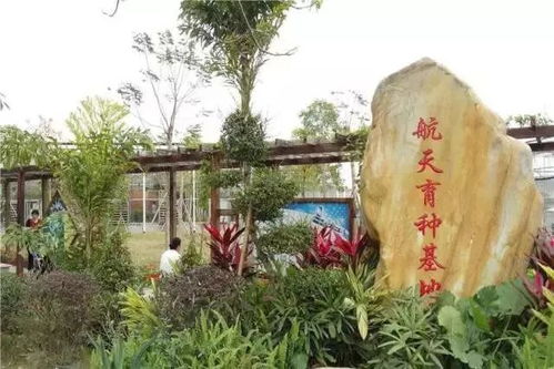 2026年2月有哪些黄道吉日适合安排重要活动？