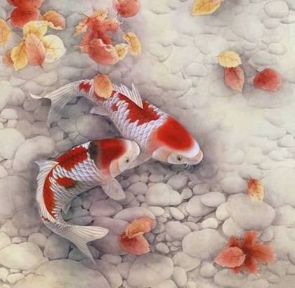 鱼生小鱼家里卧室放鱼，风水禁忌有哪些讲究？