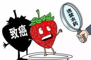 3、搬家过程对母婴健康的潜在风险