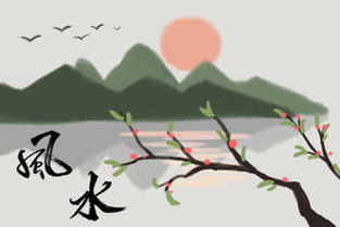 家里枯树会对风水产生怎样的负面影响呢？