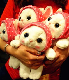 一、 ：关于小型猫科宠物玩具选购的学术探讨