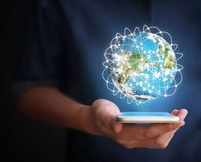 心机与智慧：双刃剑效应