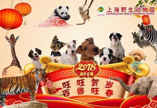 动物表演：2026年最新虐待方式