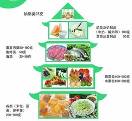 不同星座的人适合哪些样的身体健康状况饮食