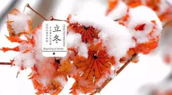 三、历史渊源：汉代至今的文化积淀