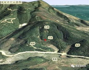 3．龙虎砾