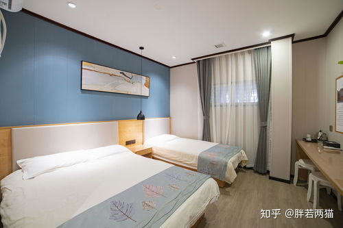 住宿选择的具体案例：真实体验 vs 营销谎言