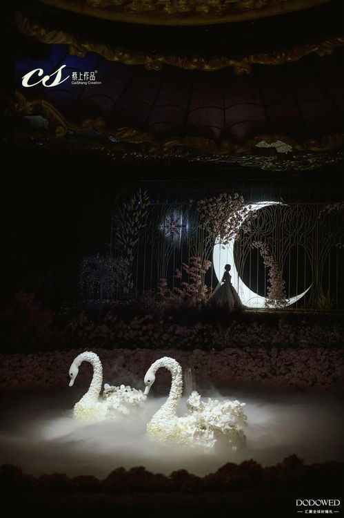 一、 森林争夺区的神秘生物谱系及其对新月湖传说的渊源