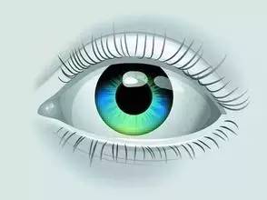 卯时（05点——07点前）