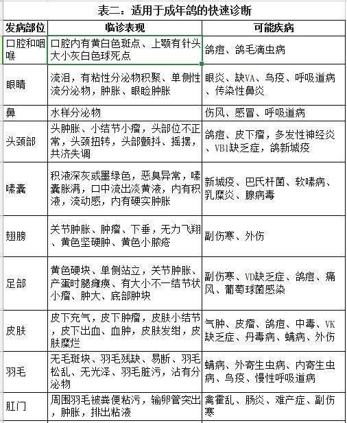 三、 脉象与指尖跳动位置的民俗诊断法