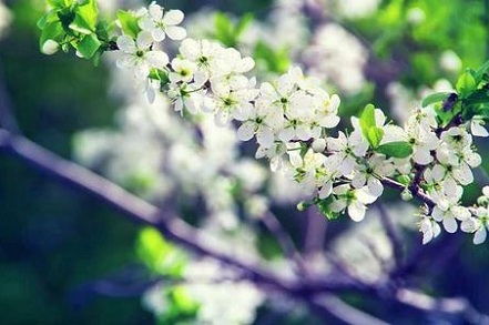 ：择吉文化的时空背景与立冬节气的风水意蕴