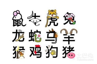 寅命回头贡煞究竟是指哪个生肖的化解方法？