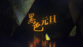 ：人面鸡身之午夜惊魂的现象概述