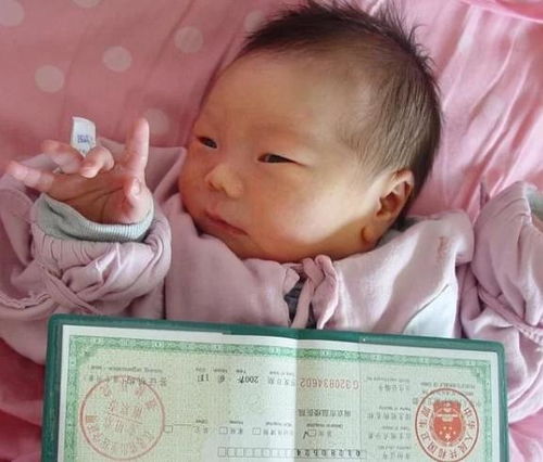 爸爸姓程，龙凤胎取名恺程，寓意改写：取名为恺程，有何美好寓意？