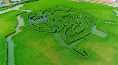 2026年1月黄道吉日开业，5月12日是本月哪天吉日适合开业？