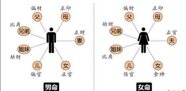 三、 化解机制与实践路径的系统性构建