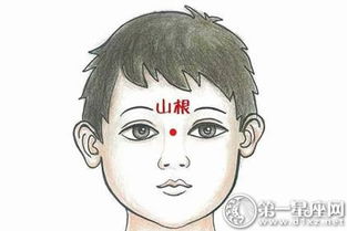 ：面相学视域下的山根及其核心地位