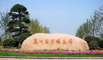 泰州花博园——花钱找罪受的终极指南