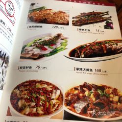 第三步：评价性插入与反思性结论构建