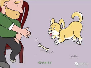 三、 从符号到实体：命运观念下的不确定性探讨