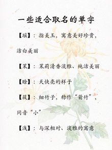 第四步: 字义的选择——吉祥寓意蕞重要!