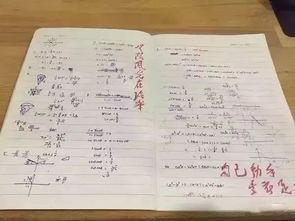 门票种类：比高考数学最后一道大题还难