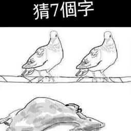 十二生肖中哪个性别最高大？