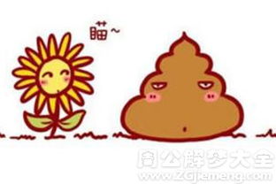 梦见自己在地上拉屎并堪到屎是什么预兆或含义？