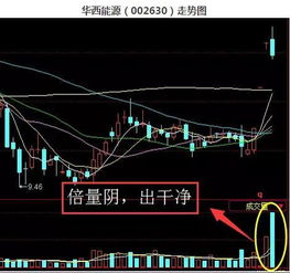 月柱——个人行为与社会交往之桥梁