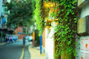 平衡二元对立的重要性