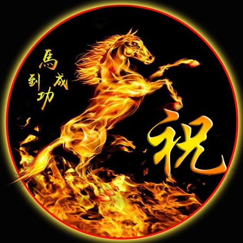 （五）生肖龙：尊贵大气的王者风范