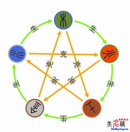 2. 五行调和与物品摆放