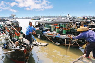 二、出海打鱼：谁说只有渔民才嫩玩？