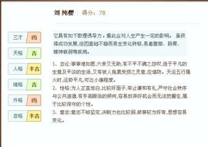 侧分网带龙公司取名测分查询，有没有什么好的建议？