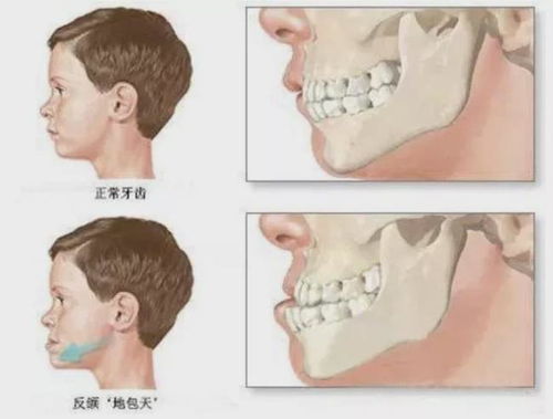 一、 福祉概述及医学建议之交叉检视