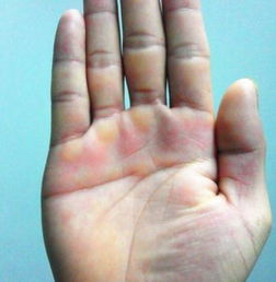 固执己见的思维定势与情感表达