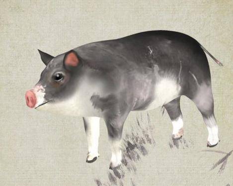 第二个贵人：属羊的