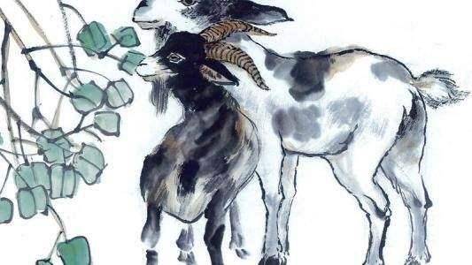 十二生肖中属马的人明日运势如何，具体到各个时辰的运势是什么？