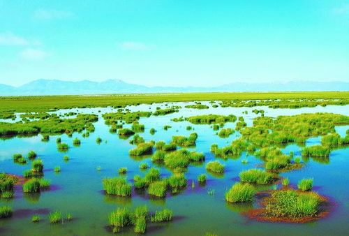 “碧水青山”：自然和谐与身心安宁