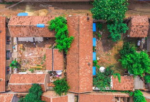 哪种房子风水最好，能带来旺运？