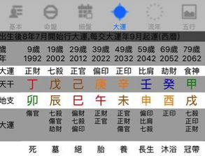 命理条件的基本框架