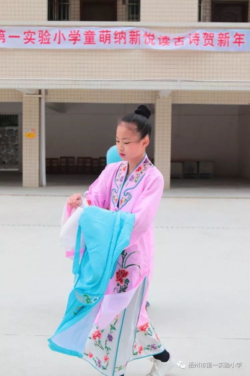 以古代诗词为灵感的现代化命名